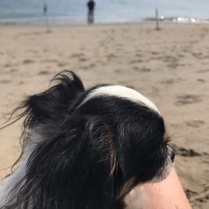 Meet your Posher, Kim